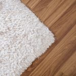 hardwood floor vs carpet