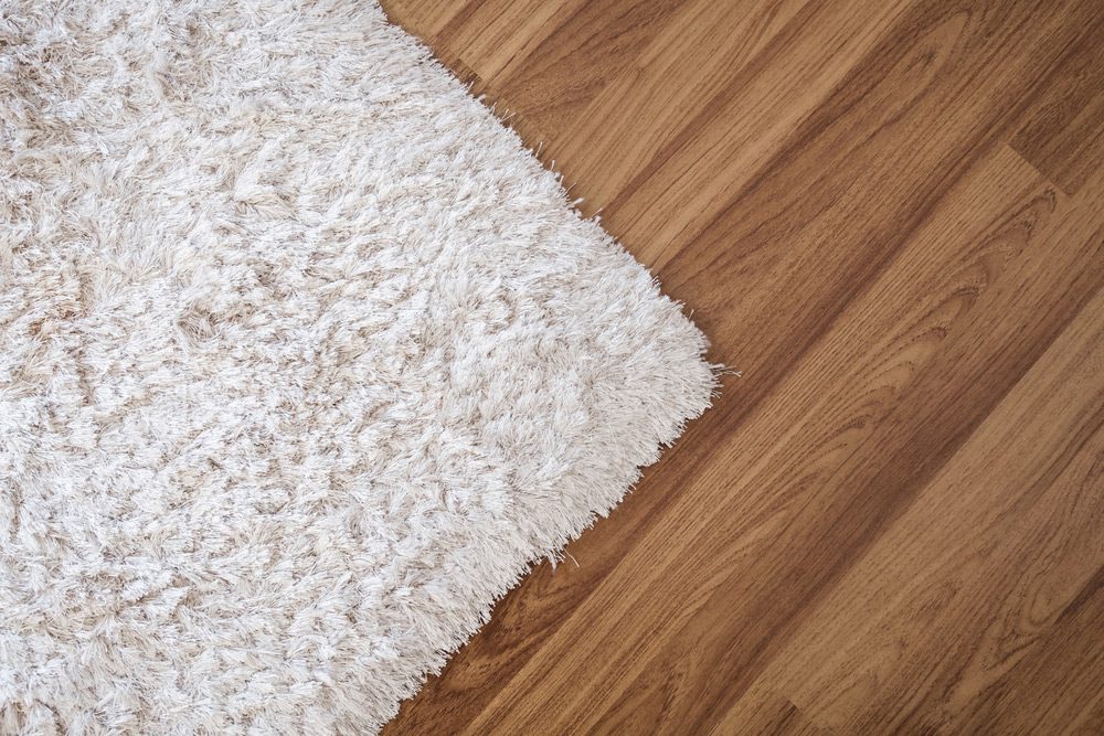 hardwood floor vs carpet