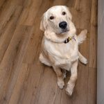 Vinyl plank flooring installation in a modern home